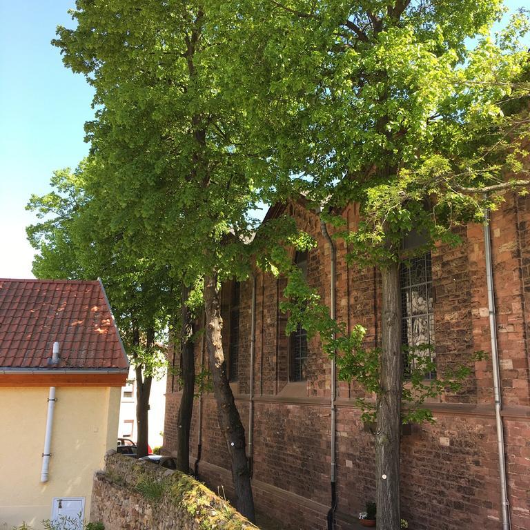 Ferienhaus Zur Mainpforte Mainz Exterior foto